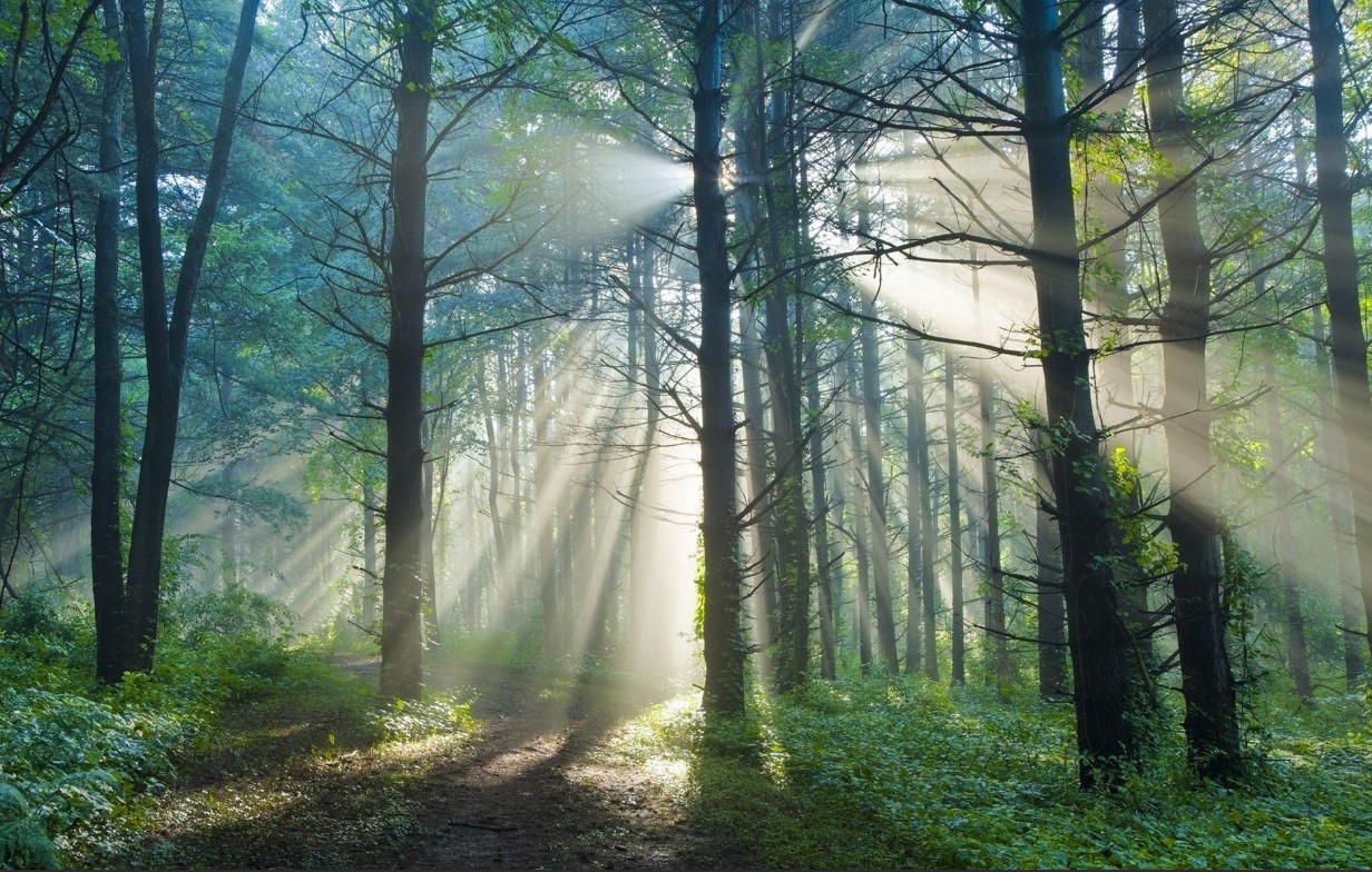 屏幕截图 2023-10-14 174310.jpg